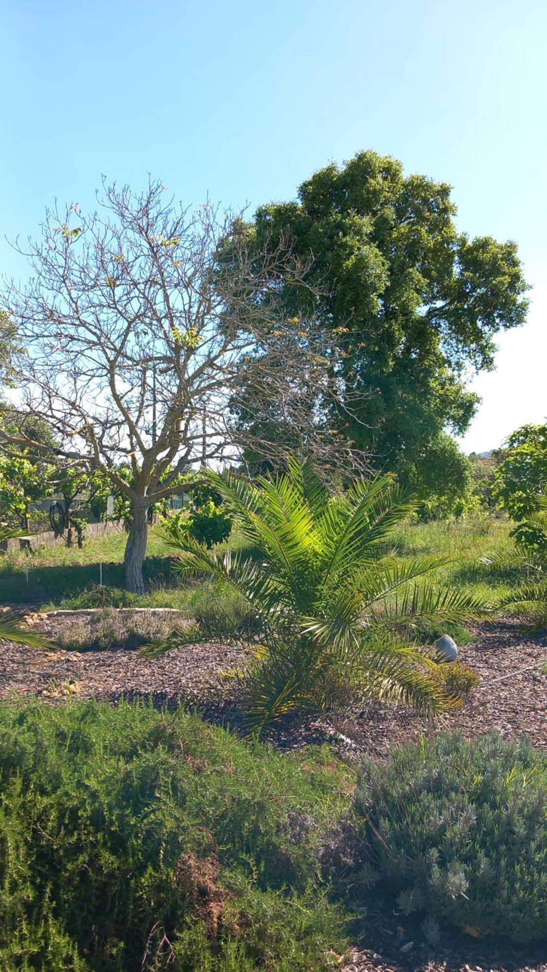 Quinta Laranjal Da Arrabida Palmela Exterior foto